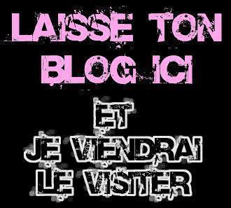 lache  ton blog 