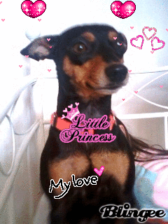 mon amour des ile <3
